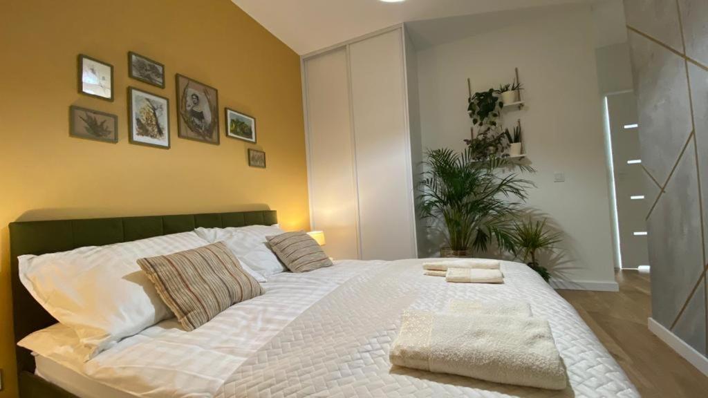 Park Apartment *